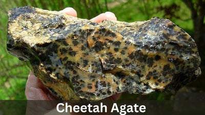 Cheetah Agate - A Stone of Passionate Love!