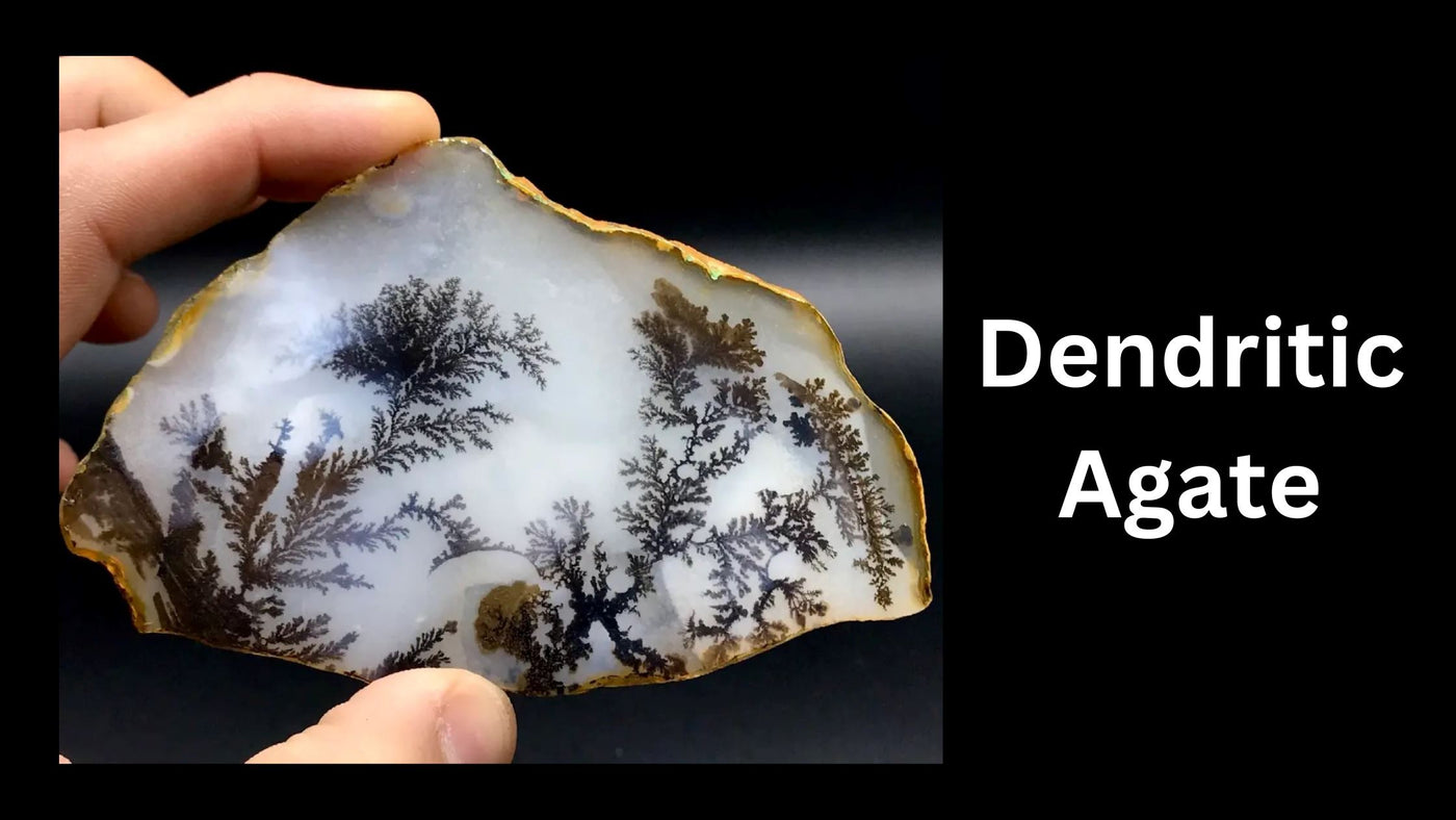 Dendritic Agate - The Crystal That Reveals The Future!