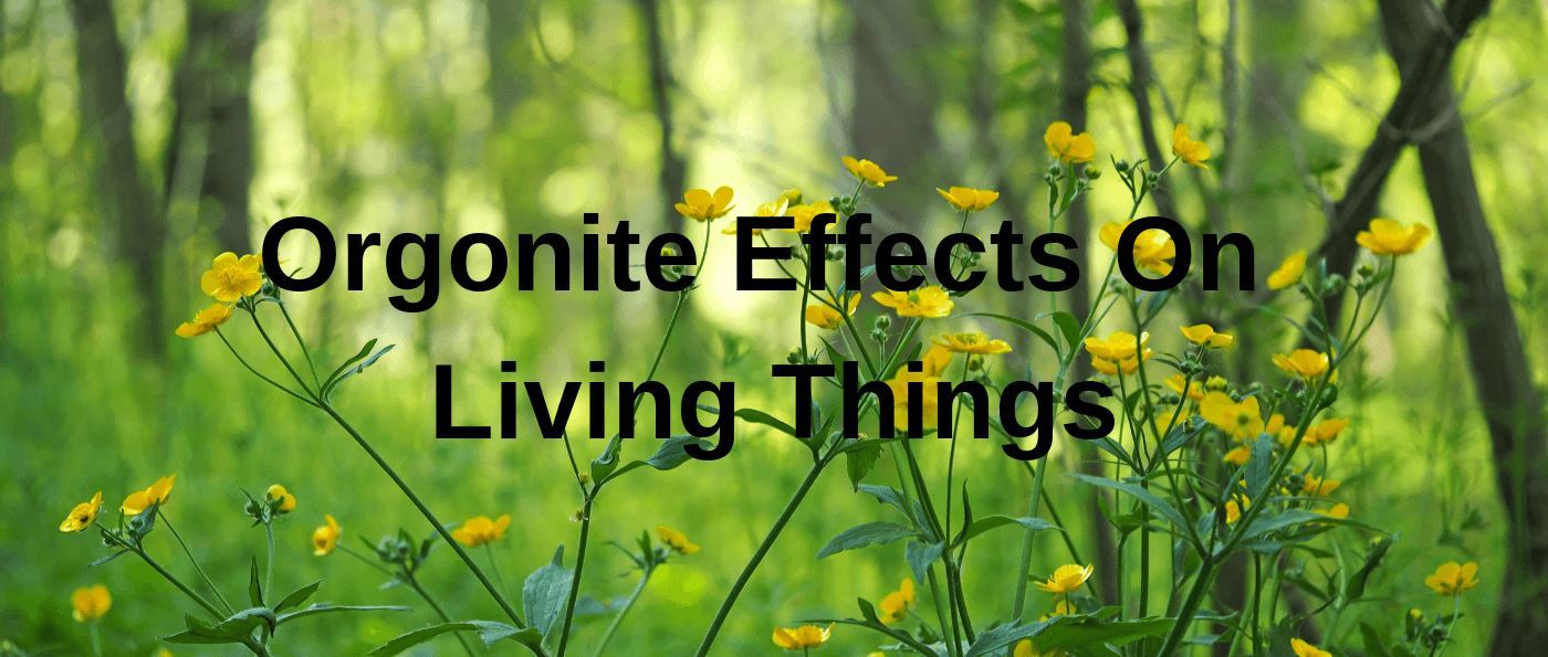 Orgonite Effects On Living Things : Orgonite Crystal