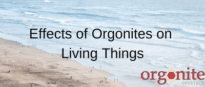 Effects of Orgonites on Living Things