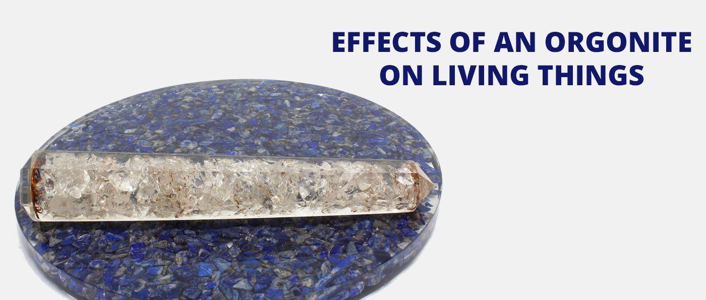 Effects of an Orgonite on living things