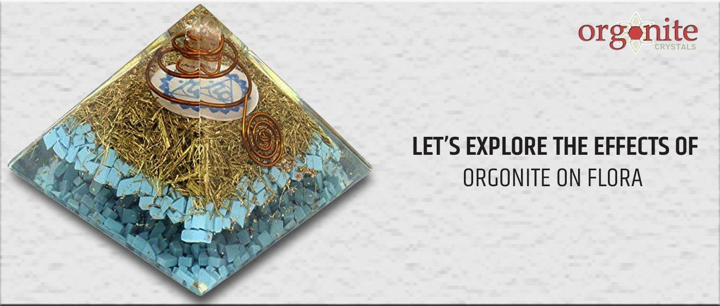 Let’s explore the effects of Orgonite on Flora