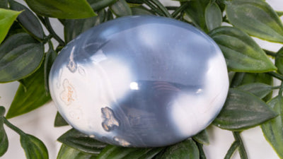 Orca Agate - The Power Packed Stone!