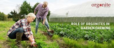 Role Of Orgonites In Garden Farming