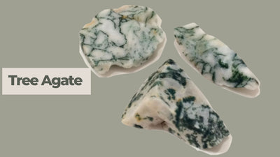 Tree Agate - A Historical Gem that Provides Certainty Through a Storm!