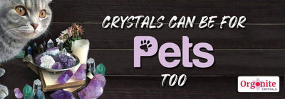 CRYSTALS CAN BE FOR PETS TOO